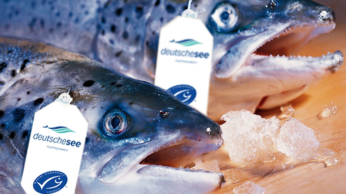 Zwei Fische mit MSC-Siegel liegen zum Verkauf bereit. | Bildquelle: picture-alliance/dpa Zwei Fische mit MSC-Siegel liegen zum Verkauf bereit.