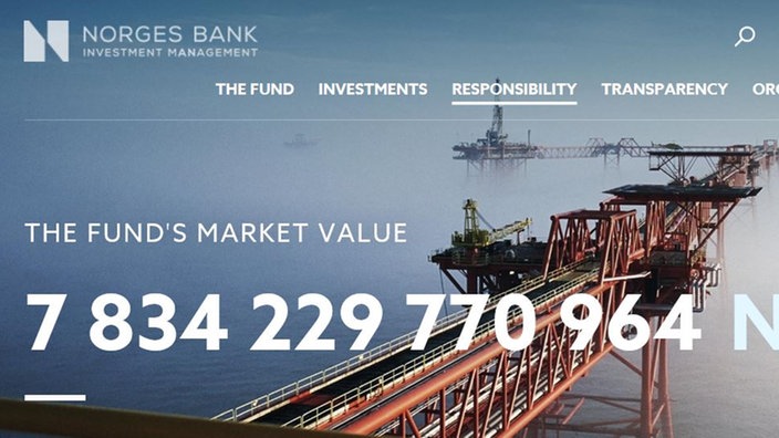 Homepageseite Norges Invest. | Bildquelle: Norges Invest Homepageseite Norges Invest.