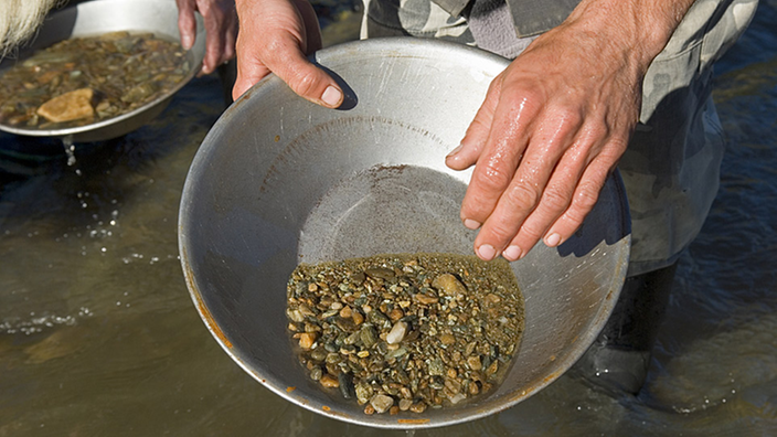 Goldschürfen im Fluss, zwei Hände halten einen Waschteller mit Gestein