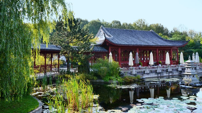 Blick auf das Teehaus im Chinesischen Garten
