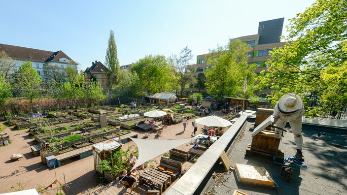 Garten in Berlin mit vielen Beeten, auf dem Dach im Vordergrund steht ein Imker, im Hintergrund Häuser | Bildquelle: dpa/ Jens Kalaene Garten in Berlin mit vielen Beeten, auf dem Dach im Vordergrund steht ein Imker, im Hintergrund Häuser