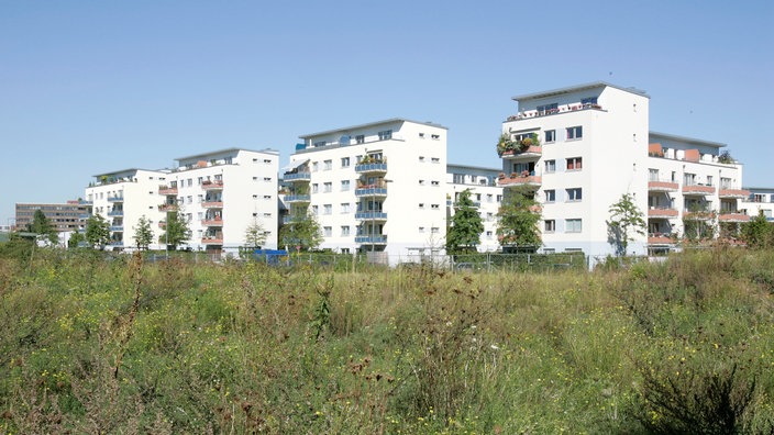 Neubausiedlung auf freier Fläche.