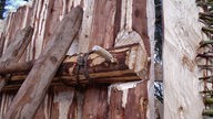 Zaun aus einzelnen Holzbrettern, die mit einer Querstrebe per Holznagel verbunden sind