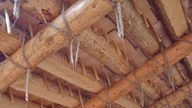 Ansicht auf ein mit Holzschindeln bedecktes Dach von innen: man sieht deutlich die Holznägel, mit denen jede Schindel an den Querbalken anliegt.