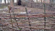 Ein mit Zweigen gebauter kleiner Zaun und Stall mitten im Wald.