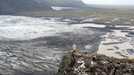 Gletscherzungen des Vatnajökull