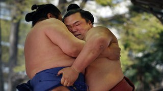 Zwei Sumo-Ringer kämpfen miteinander