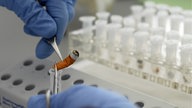 Eine Kriminaltechniker analysiert Speichelspuren auf einer Zigarettenkippe.