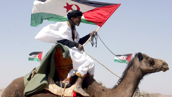 Ein Kämpfer der Polsarion reitet auf einem Kamel