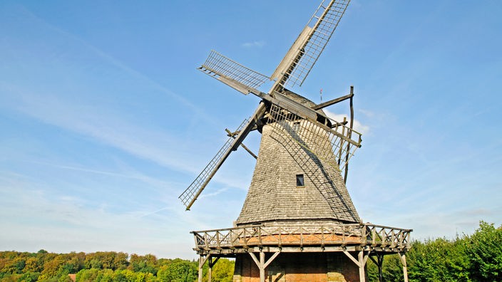 Eine graue historische Windmühle auf einer grünen Wiese, im Hintergrund ist Wald