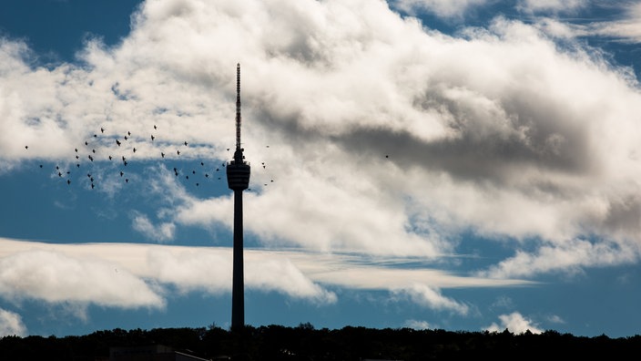 Stuttgarter Fernsehturm | Bildquelle: dpa/Christoph Schmidt Stuttgarter Fernsehturm