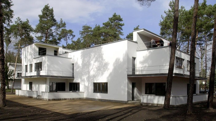 Rückansicht eines weißen Wohnhauses mit Flachdach im Bauhaus-Stil unter Pinien
