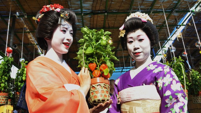 Zwei traditionell gekleidete und geschminkte Geishas halten auf einem Markt einen Pflanzenkorb