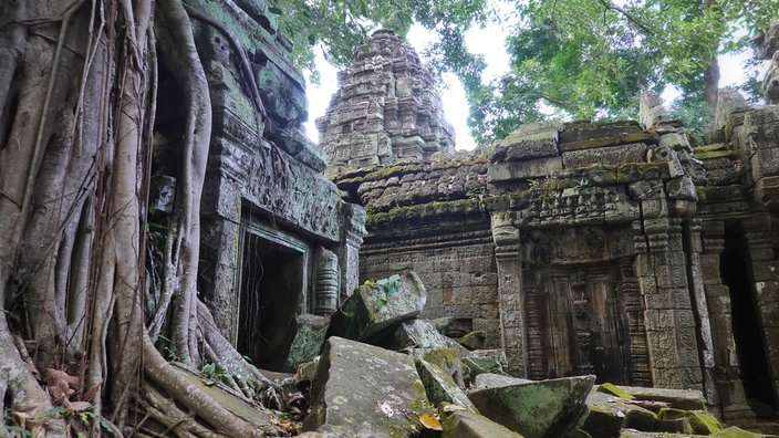 Verfallenes Gebäude des Tempels Ta Prohm in Angkor Wat, Kambodscha | Bildquelle: picture alliance/dpa Verfallenes Gebäude des Tempels Ta Prohm in Angkor Wat, Kambodscha