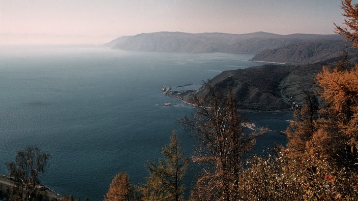 Blick auf die Küstenlinie des Baikalsees. Im Vordergrund herbstlich gefärbte Bäume.