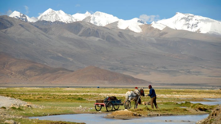 Tibetisches Hochland mit verschneiten Bergen im Hintergrund. In der Mitte des Bildes ein Gespann mit Yak-Ochsen.