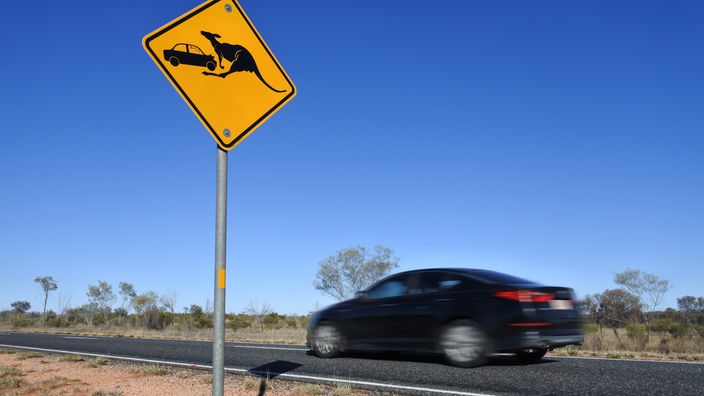 Ein Auto fährt an einem Warnschild mit Känguru vorbei