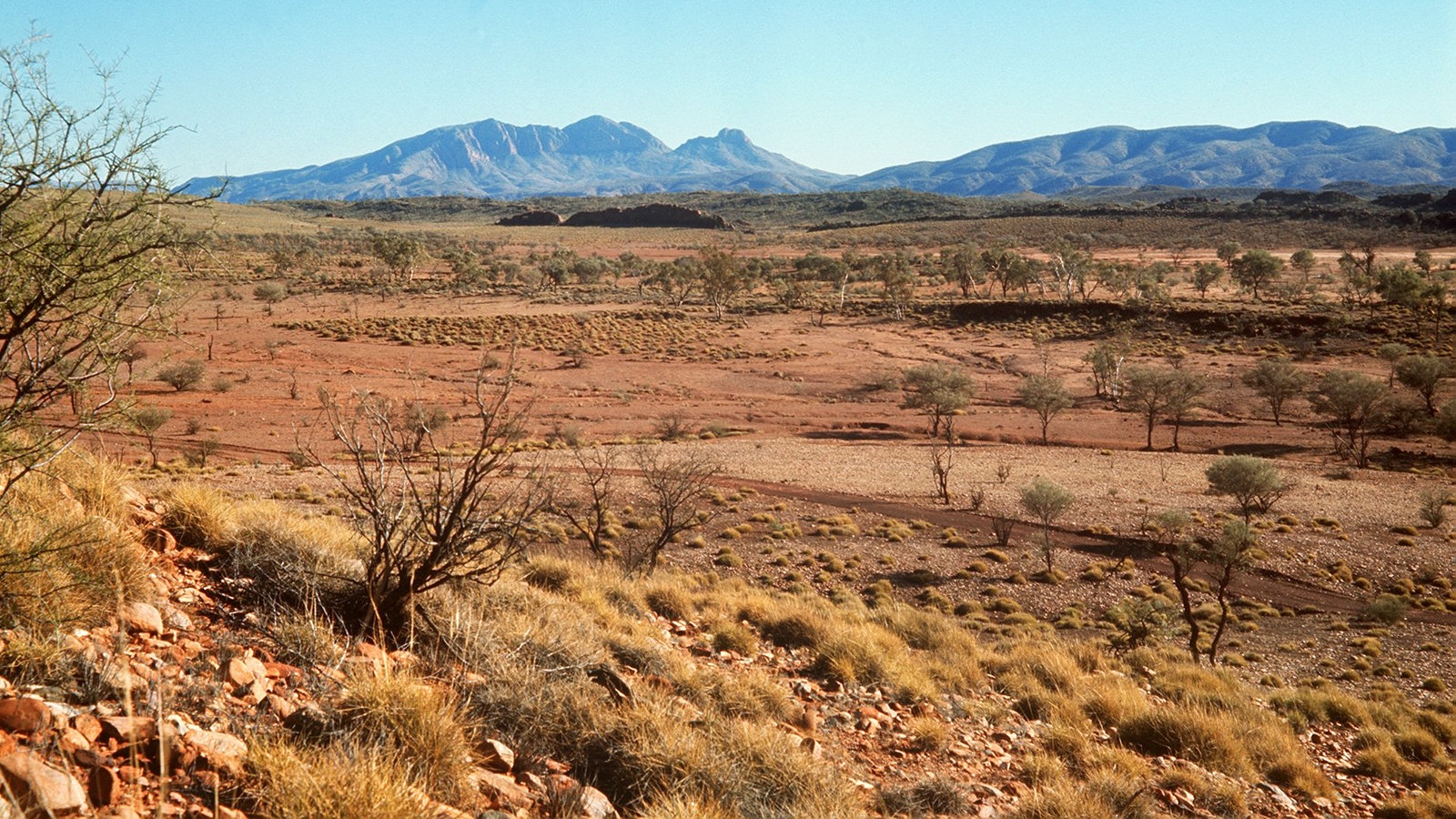 Australisches Outback Leben Im Outback Australien Und Ozeanien Kultur Planet Wissen