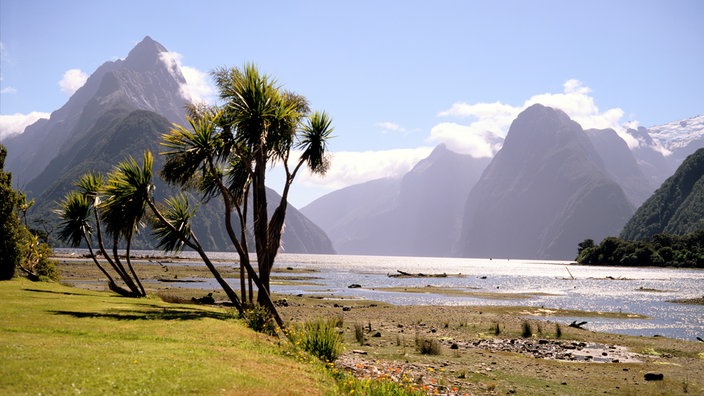 Milford Sound, Südinsel, Neuseeland | Bildquelle: picture-alliance / Hiroshi Higuc Milford Sound, Südinsel, Neuseeland