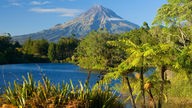 See, Baäume und Vulkan Mount Egmont, auch Mount Taranaki, Südinsel, Neuseeland