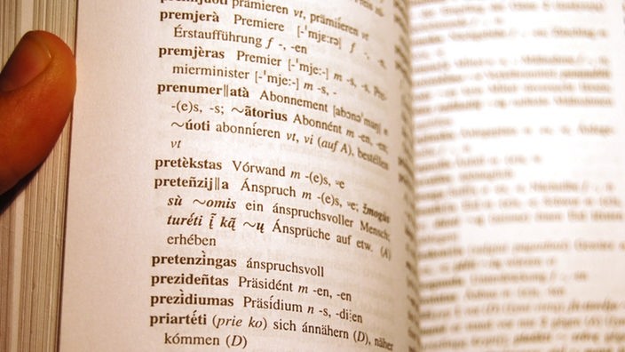 Blättern in einem Litauisch-Wörterbuch.