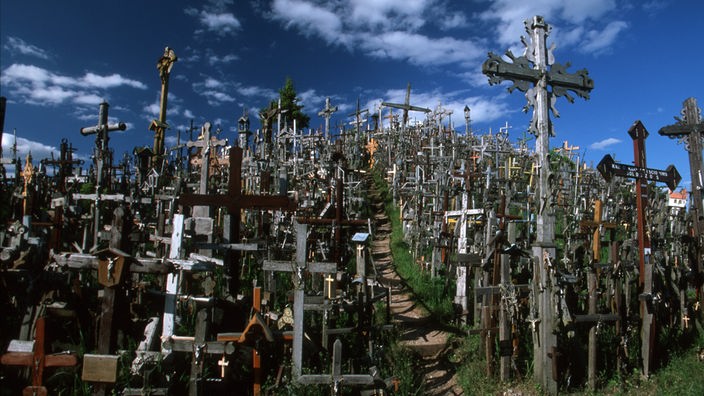Zahlreiche Kreuze in verschiedenen Größen auf einem Hügel.