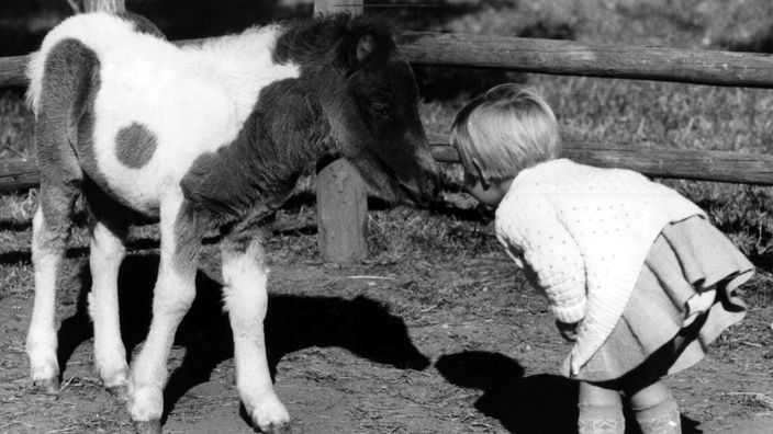 Schwarzweißfoto: Ein kleines Mädchen beugt sich zu einem Pony und spricht wohl gerade mit ihm.