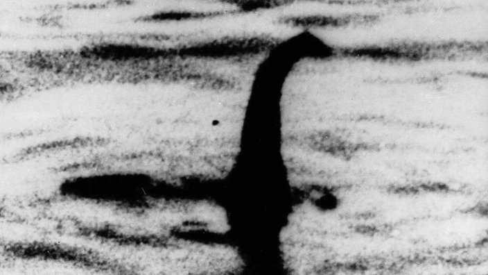 Unscharfes Bild eines saurierähnlichen Tiers mit langem Hals im Wasser | Bildquelle: WDR/AP Unscharfes Bild eines saurierähnlichen Tiers mit langem Hals im Wasser