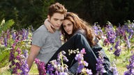 Bella und Edward liegen sich in den Armen auf einer Blumen bewachsenen Wiese