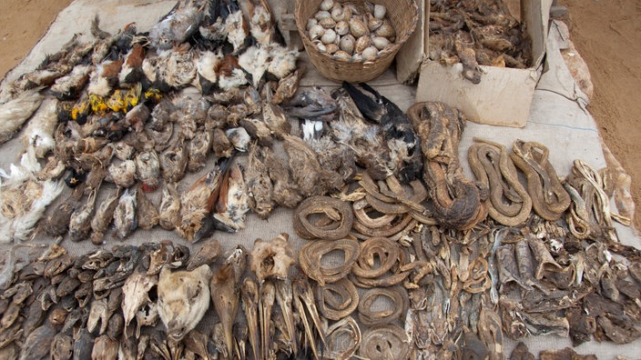 Ein Verkaufstisch mit Tierkadavern auf einem Fetischmarkt. | Bildquelle: Interfoto/Danita Ein Verkaufstisch mit Tierkadavern auf einem Fetischmarkt.