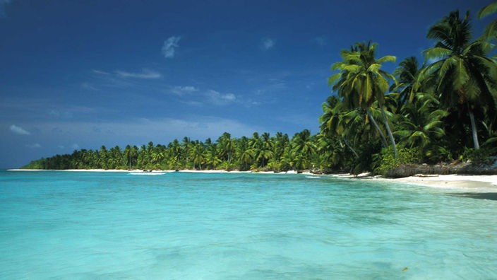 Eine Südseeinsel mit Palmenstrand in türkisfarbenem Wasser.