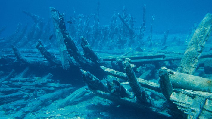 Unterwasseraufnahme eines Schiffswracks | Bildquelle: WDR / creativ collection Unterwasseraufnahme eines Schiffswracks