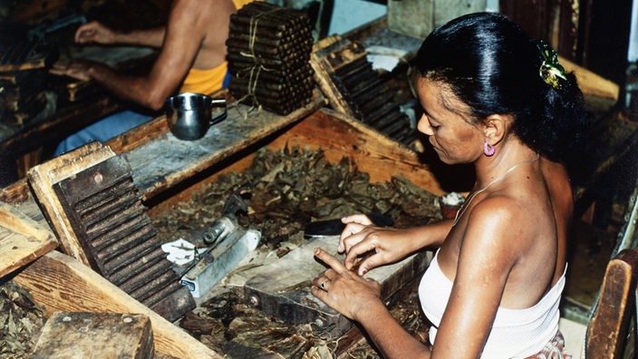 Kubanische Arbeiterin in einer Zigarrenfabrik dreht Zigarren