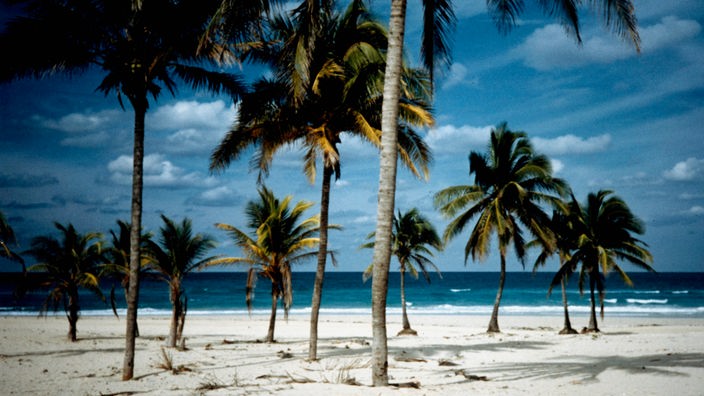 Palmen und weißer Sand am Strand von Santa Maria auf Kuba