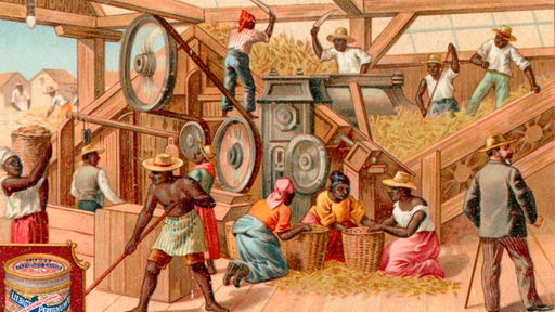 Zeichnung: Sklaven bei der Verarbeitung von Zuckerrohr.
