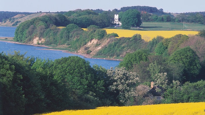 Landschaft mit blühenden Rapsfeldern und Meer auf Rügen. | Bildquelle: WDR/MEV Landschaft mit blühenden Rapsfeldern und Meer auf Rügen.