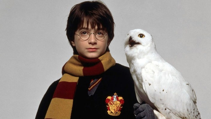 Schauspieler Daniel Radcliffe als Zauberschüler Harry Potter mit einer Eule auf dem Arm