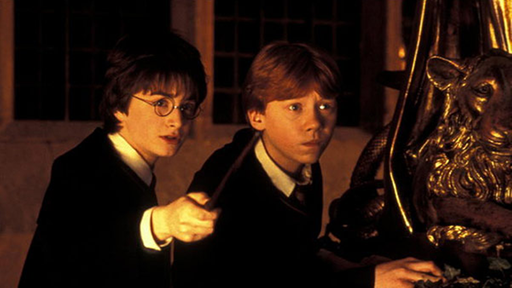 Harry Potter mit seinem Zauberlehrlingsfreund.