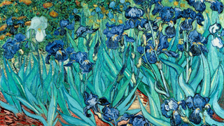 Auf einem Ölgemälde von Vincent van Gogh aus dem Jahr 1889 sieht man frei in der Natur wachsende blaue Schwertlilien, die dicht beieinander stehen.