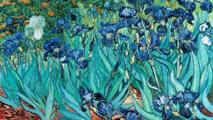 Auf einem Ölgemälde von Vincent van Gogh aus dem Jahr 1889 sieht man frei in der Natur wachsende blaue Schwertlilien, die dicht beieinander stehen. | Bildquelle: Akg-Images Auf einem Ölgemälde von Vincent van Gogh aus dem Jahr 1889 sieht man frei in der Natur wachsende blaue Schwertlilien, die dicht beieinander stehen.