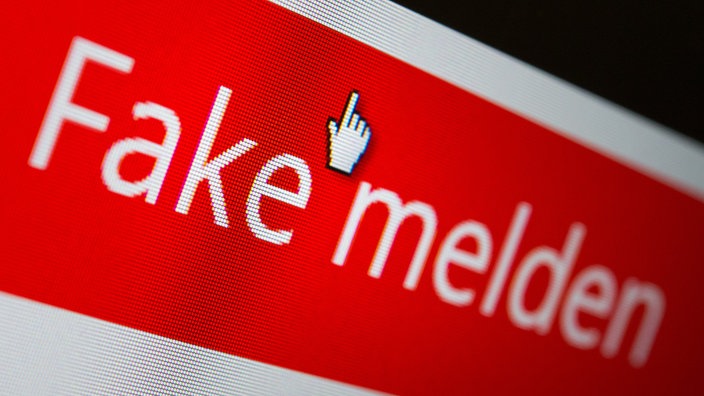 Bildschirm mit der Aufschrift "Fake melden" | Bildquelle: dpa/Franziska Gabbert Bildschirm mit der Aufschrift "Fake melden"