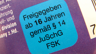 Logo FSK.