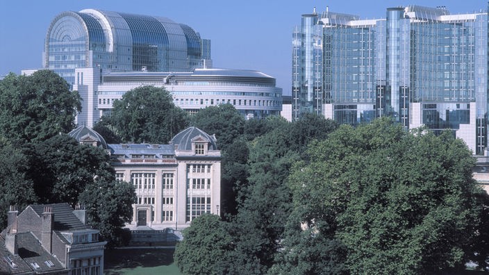 Im Vordergrund einige grüne Bäume, im Hintergrund erhebt sich die Glaskuppel des Europaparlaments.