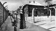 Schwarzweiß-Bild eines Gebäudes in Auschwitz, das von zwei Stacheldrahtzäunen und einer Mauer umgeben ist.