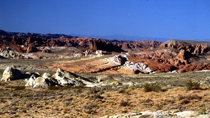 Nordamerikanische Wüstenlandschaft mit spärlichem Bewuchs und roten Felsen.