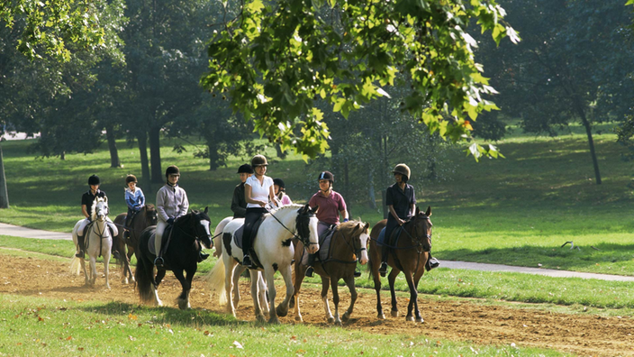 Eine Gruppe von acht Reitern auf Pferden im Park, es herrscht abendliche Stimmung mit viel Schatten.