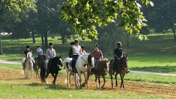 Eine Gruppe von acht Reitern auf Pferden im Park, es herrscht abendliche Stimmung mit viel Schatten.