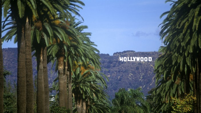 Der mit Palmen gesäumte Windsor-Boulevard mit Blick auf das berühmte Hollywood-Schild in den Hügeln Hollywoods.