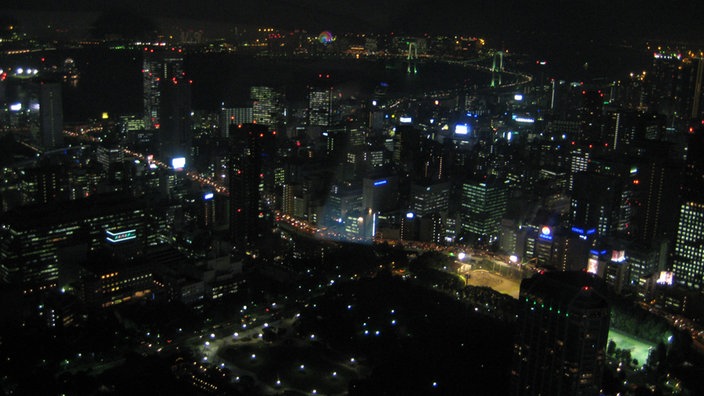 Blick vom 'Tokyo Tower' auf die Stadt bei Nacht. Man sieht viele beleuchtete Hochhäuser und Straßenzüge. | Bildquelle: Mareike Potjans Blick vom 'Tokyo Tower' auf die Stadt bei Nacht. Man sieht viele beleuchtete Hochhäuser und Straßenzüge.