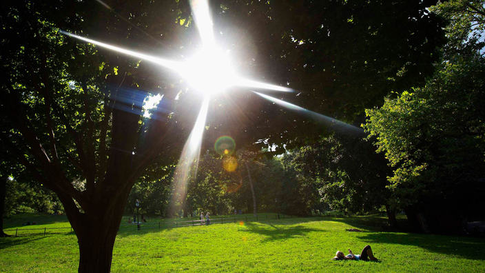 Frau sonnt sich auf einer Wiese im Central Park. | Bildquelle: Reuters/Carlo Allegrini Frau sonnt sich auf einer Wiese im Central Park.